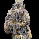 Grape Cake Feminized Hightide Seeds - Image 5