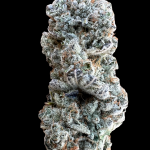 Grape Cake Feminized Hightide Seeds - Image 2