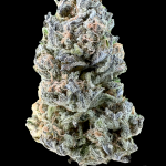 Biscotti Hottie Feminized Hightide Seeds - Image 2