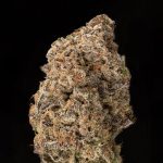 Fire Water Feminized Hightide Seeds - Image 4
