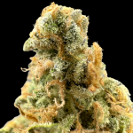 Spiked Punch Auto Hightide Seeds - Image 3