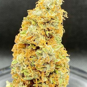 White Widow Feminized Hightide Seeds