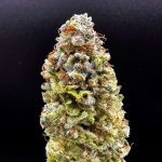 Gorilla Glue #4 Feminized Hightide Seeds - Image 2